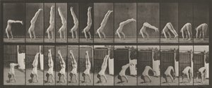 Tafel Nummer 371. Akrobat, vertikaler "Press Up", 1887 von Eadweard Muybridge