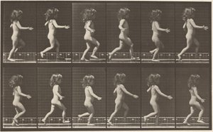 Tafel Nummer 469. Kind läuft, 1887 von Eadweard Muybridge