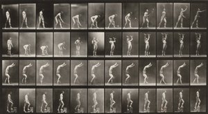 Tafel Nummer 488. A: Rasentennis. B: Hanteln. C: Auf Händen gehen. D: Treppensteigen von Eadweard Muybridge