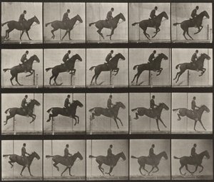 Tafel Nummer 639. "Daisy" springt über ein Hindernis, gesattelt von Eadweard Muybridge