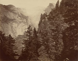 Tenaya Canyon von Union Point, Yosemite-Tal von Eadweard Muybridge