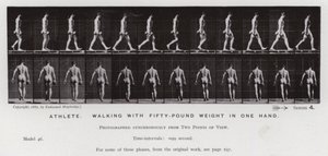 Die menschliche Figur in Bewegung: Athlet, gehend mit einem fünfzig Pfund Gewicht in einer Hand von Eadweard Muybridge