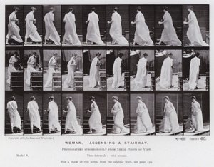 Die menschliche Figur in Bewegung: Frau, eine Treppe aufsteigend von Eadweard Muybridge