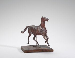 Pferd im Trab, die Füße berühren nicht den Boden