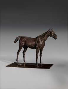 Stehendes Pferd