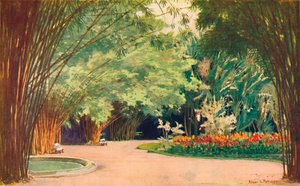 Ein Bambushain - Botanische Gärten, 1914 von Edgar L. Pattison