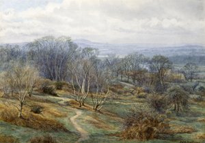 Hampstead Heath Blick auf Harrow on the Hill, ca. 1880 von Edith Martineau