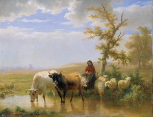 Kühe und Schafe