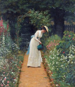 Der Garten meiner Dame