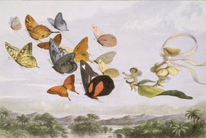 Im Märchenland: Eine Serie von Bildern aus der Elfenwelt, 1870