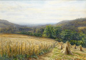 Erntezeit in der Nähe von Ashburton, 1884 von Edmund George Warren