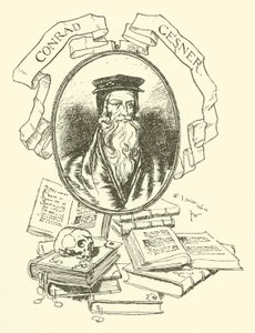 Conrad Gesner von Edmund Joseph after Sullivan
