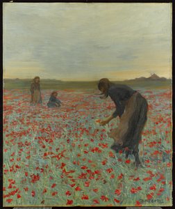Mädchen in einem Mohnfeld von Edmund Montague Morris