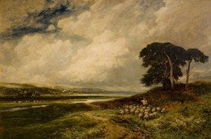 Landschaft mit Schafen