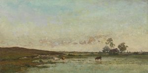 Moor in den "Kempen"