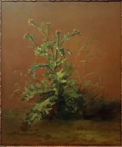 Die Distel