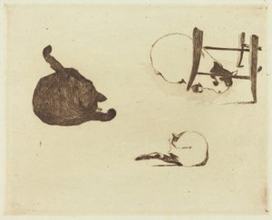 Die Katzen, 1869 von Édouard Manet