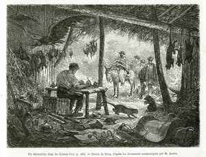 Ein Präparationslabor im Urwald, in der Region Llanos (Kolumbien), Zeichnung von Riou, zur Illustration der Geschichte von Equinoxiale America (Kolumbien, Ecuador, Peru), 1875-1876, von Ed. Andre, Reisemission beauftragt von der französischen Regierung. Gr