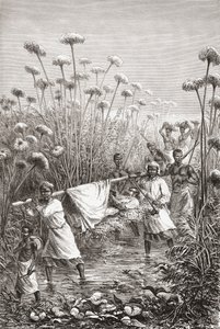 Dr. David Livingstone wird die letzten Meilen zum Dorf Tchitammbo, Afrika, kurz vor seinem Tod getragen, Illustration aus "The World in the Hands", graviert von Henri Theophile Hildibrand