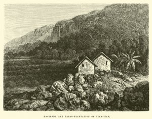 Hacienda und Kakaoplantage von Tian-tian von Edouard Riou