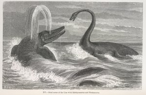Ideale Szene des Lias mit Ichthyosaurus und Plesiosaurus von Edouard Riou