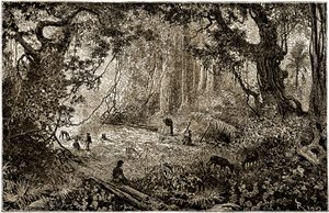 Installation eines Forscherlagers in Guatemala (1882) von Edouard Riou