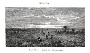 Los Llanos, Venezuela, 19. Jahrhundert