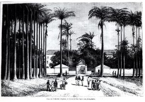Place des Palmistes, Cayenne, Guyana von Edouard Riou