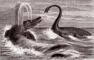 Der Ichthyosaurus und der Plesiosaurus