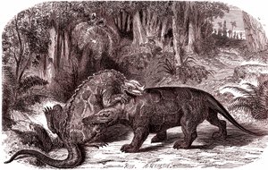 Der Iguanodon und der Megalosaurus (Gravur)