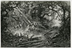 Die Ausbeutung von Mahagoni in den Wäldern der Anden. Gravur von Riou, zur Illustration der Geschichte „Reise nach Yucatan und das Land der Lacandons“, 1882, von Désiré Charnay (1828-1915), Archäologe und Fotograf. Veröffentlicht in der Tour du monde.