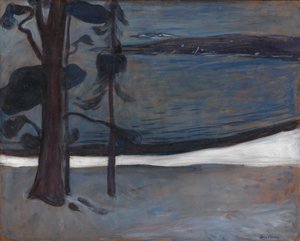 Winter auf Nordstrand