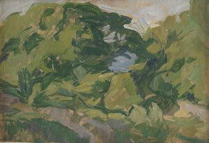 Landschaft, Christiansø