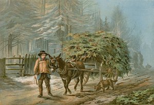 Der Stechpalmenwagen