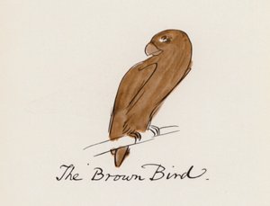 Das Vogelbuch: Der braune Vogel