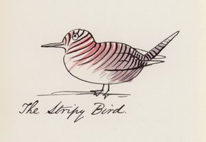 Edward Lear, Das Vogelbuch: Der Gestreifte Vogel
