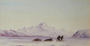 Arktische Szene