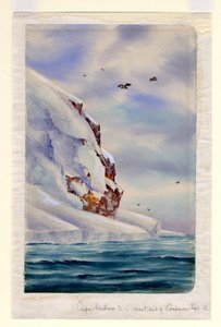 Kap Wadsworth, Coulman Island von Edward Adrian Wilson