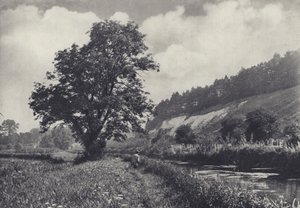 Die große Esche auf dem Hauptträger, Leckford von Edward Alfred Barton