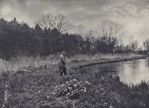 Die ersten Königskelche des Frühlings von Edward Alfred Barton