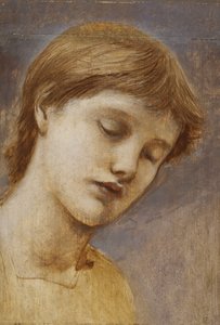 Studie eines Kopfes von Edward Coley Burne Jones