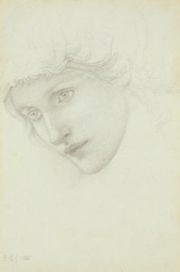 Studie für den Kopf einer Meerjungfrau, 1885 von Edward Burne Jones