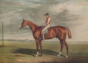 Velocipede, Gewinner des St. Leger von Edward Duncan