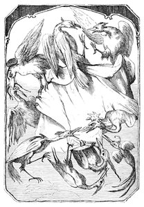 Die Eselkohlköpfe, 1901 von Edward Henry Wehnert