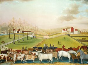 Die Cornell-Farm