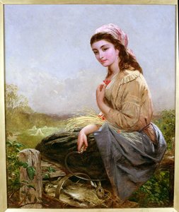Der Erntearbeiter