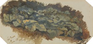 La Cava von Edward Lear