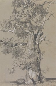 Parham, 13. Oktober 1834