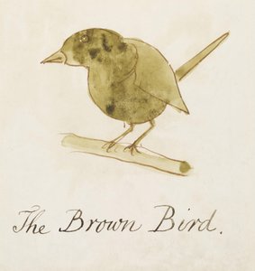Der braune Vogel, aus Sechzehn Zeichnungen komischer Vögel von Edward Lear