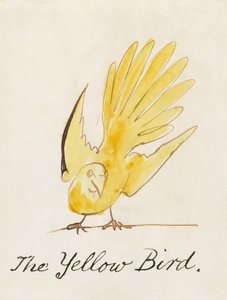 Der gelbe Vogel, aus "Sechzehn Zeichnungen komischer Vögel" von Edward Lear